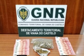 gnr viana