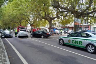 en 101 soutelo