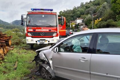 Acidente En308 Amares