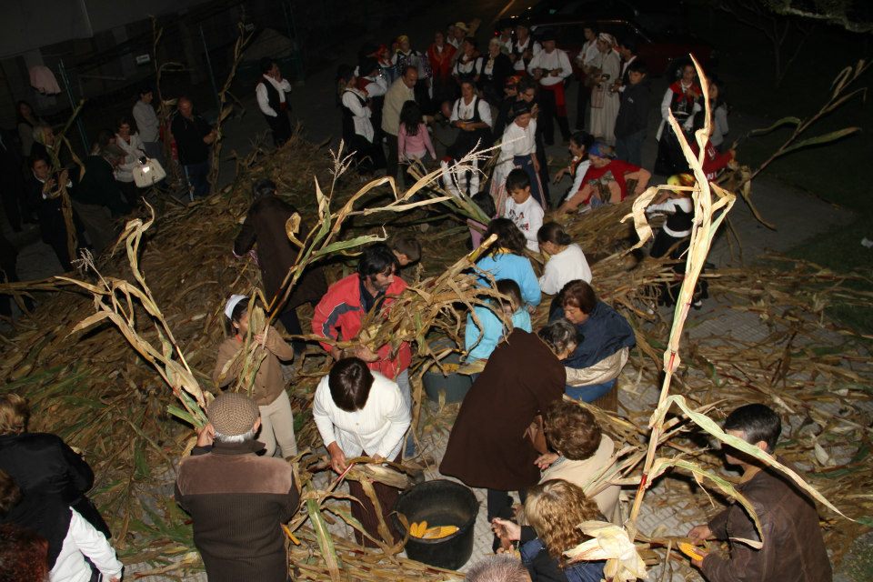 Vila Verde: Festa das Colheitas entre 04 e 08 de outubro festa das colheitas