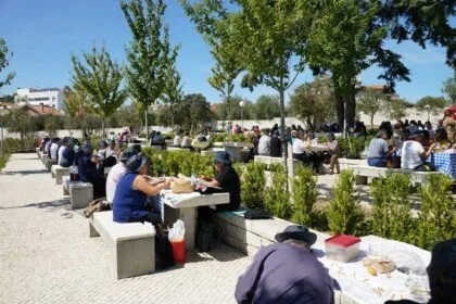 idosos fátima