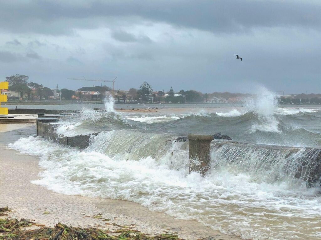 Esposende: Imagens mostram Rio Cávado a invadir parque na Marginal 26dac130 9e14 44cb 806a d1b63bff276d