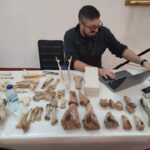 museu d diogo sousa zooarqueologia