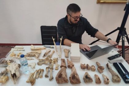 museu d diogo sousa zooarqueologia
