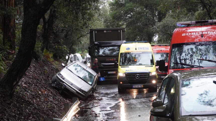 Barcelos: Despiste na EN103-1 faz um ferido NMC05263