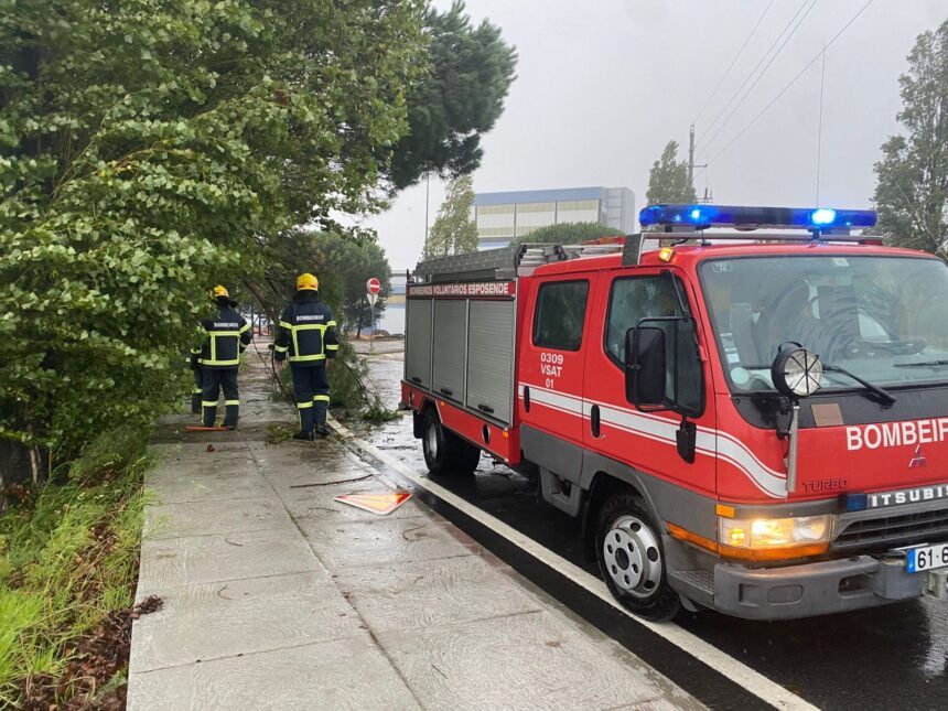 Esposende: Queda de árvore junto à SolidAL Queda arvore solidal