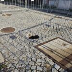 buraco em forjães