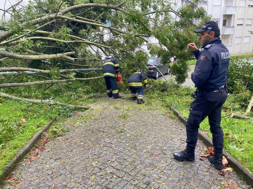Braga: (c/vídeo) Árvore cai nas Parretas. Arrasta poste de iluminação e atinge carro arvore cai