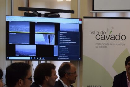 video vigilancia cavado