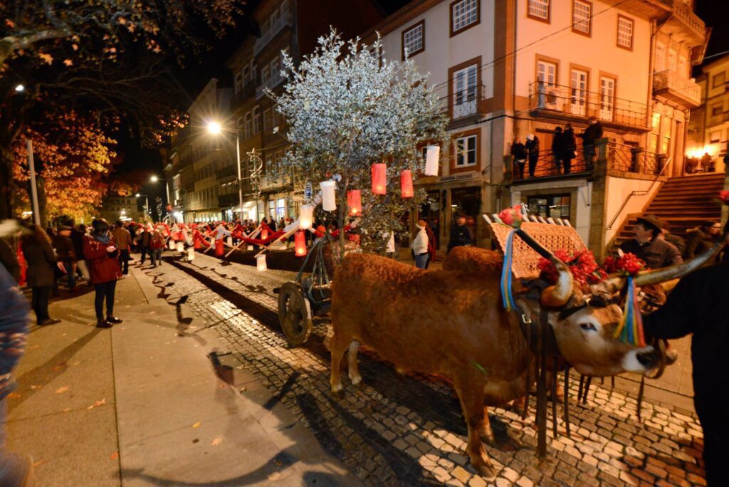 pinheiro guimaraes