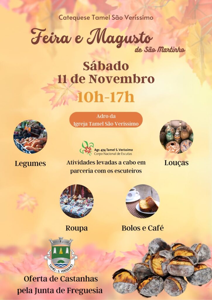 São Martinho: Aqui estão 9 magustos que não pode perder em Barcelos Magusto Catequese