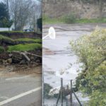 queda arvore e muro em Braga
