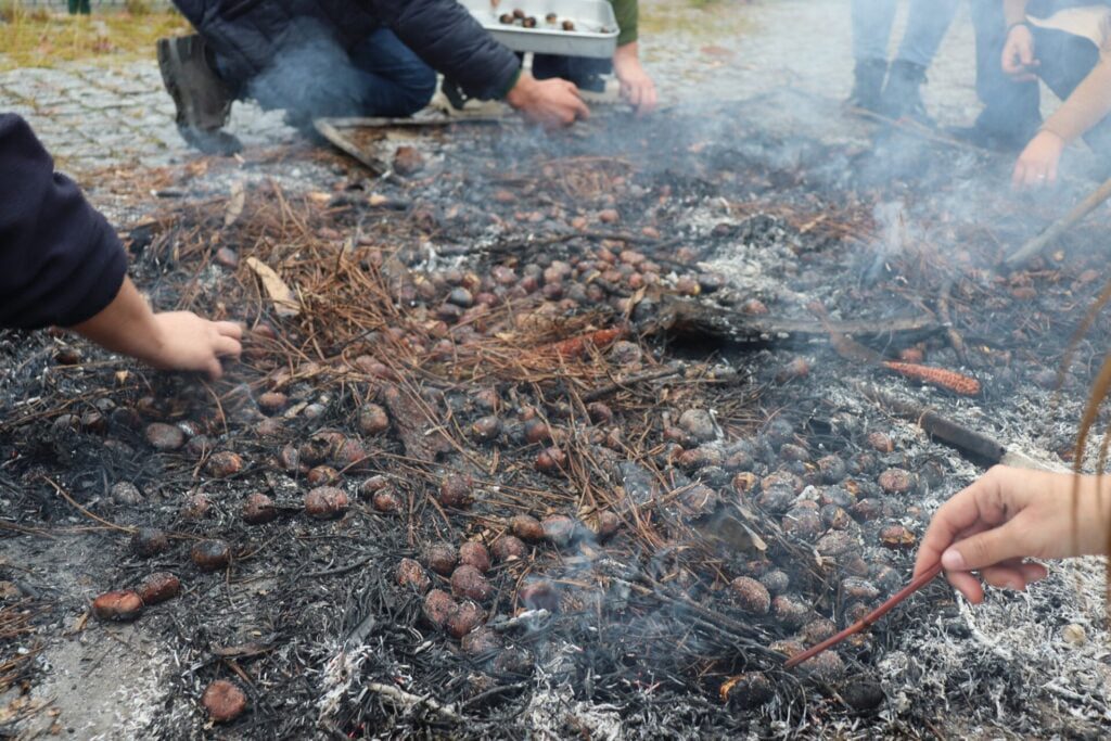 Ponte de Lima: Assim foi o tradicional Magusto da Quinta de Pentieiros IMG 0164
