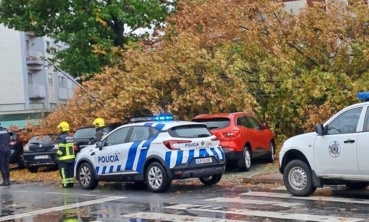 Barcelos: Árvore caiu no Campo 25 de abril e danificou várias viaturas PSP Queda arvore barcelos