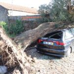 carro atingido por árvore em Apulia criaz