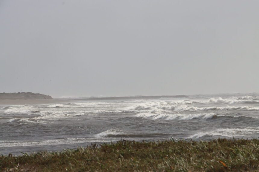mar agitado