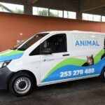 Braga socorro animal bsb