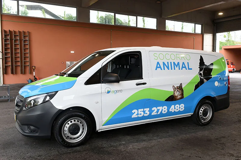 Braga socorro animal bsb