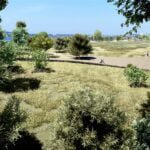 parque da cidade de Esposende
