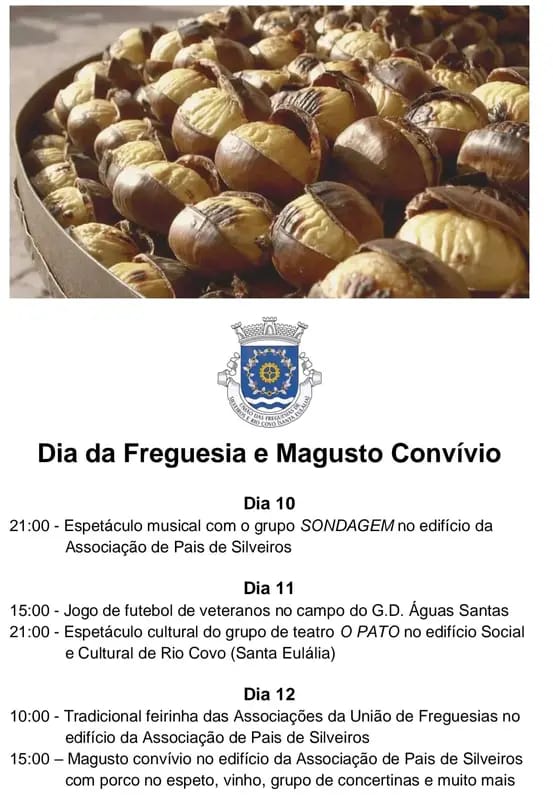 São Martinho: Aqui estão 9 magustos que não pode perder em Barcelos magusto de silveiros rio covo