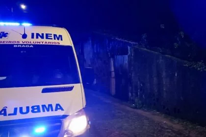 porco morto em casa abandonada