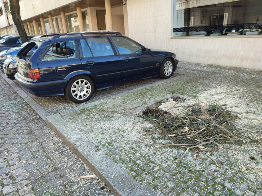 Esposende: Corte de árvore corre mal e atinge carro arvore cai em carro