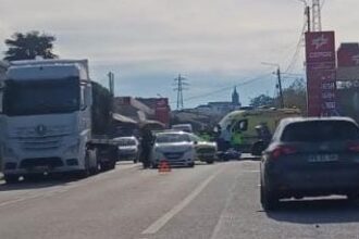 morto palmeira acidente