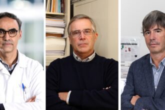 cientistas uminho mais citados - 1