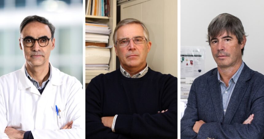 Braga: São da UMinho e dos mais citados entre os cientistas cientistas uminho mais citados - 1