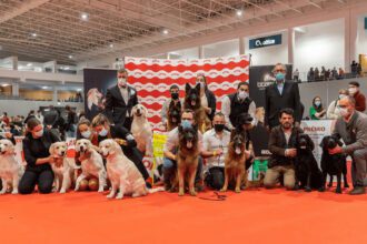expo animal