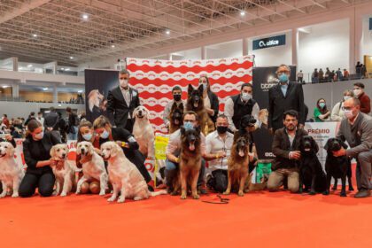 expo animal