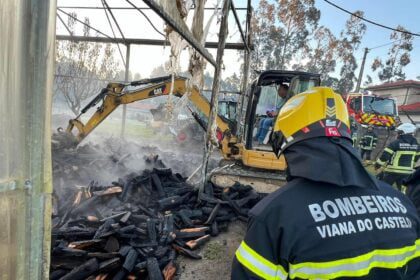 incendio estufa alvaraes