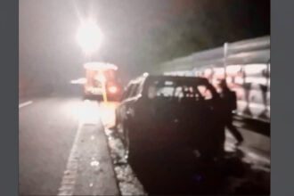 ardeu a28 bv fao