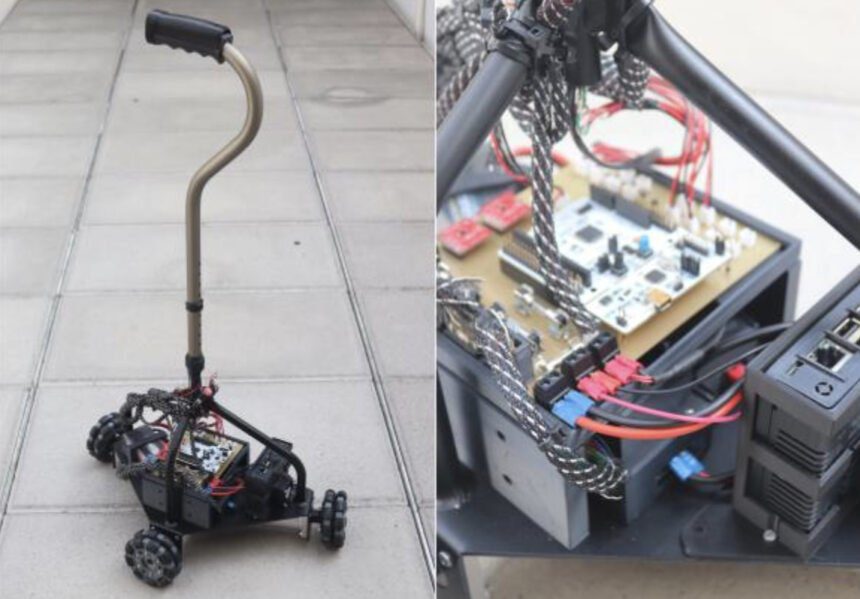 bengala robotica
