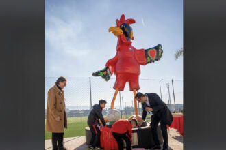Galo Barcelos Santa Maria