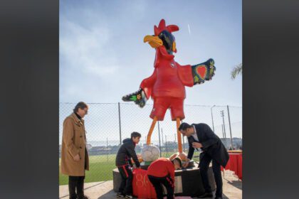 Galo Barcelos Santa Maria
