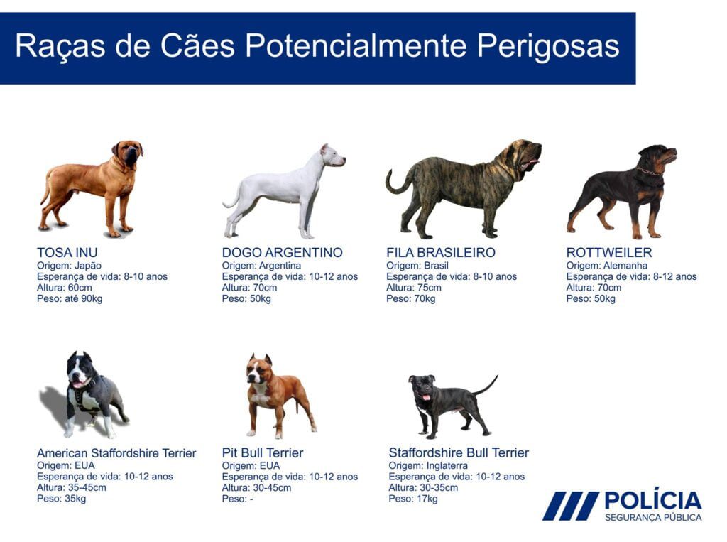 caes perigosos