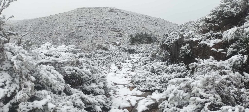 IPMA: Massa de ar polar já fez nevar em Montalegre e zonas altas do PNPG terras de bouro