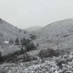 PNPG Neve