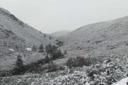 PNPG Neve