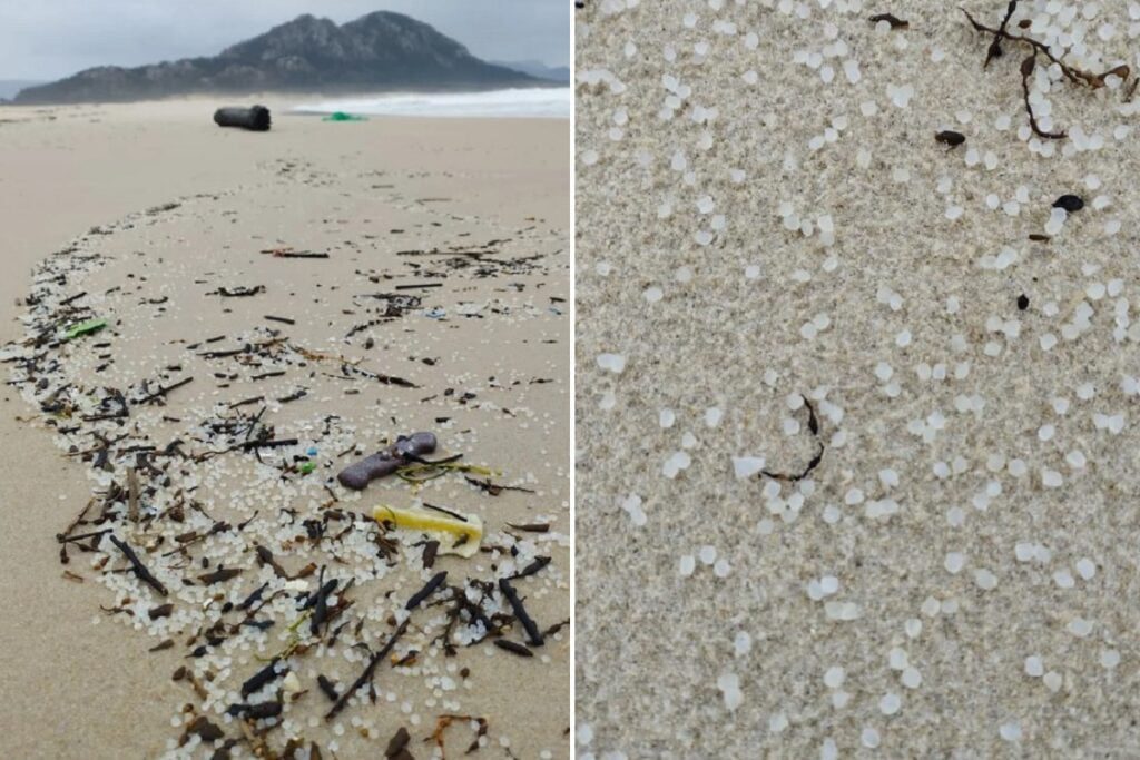 Viana: Já não é só na Galiza. "Bolinhas" de plástico aparecem nas praias de Viana e Caminha Bolinhas de Plastico