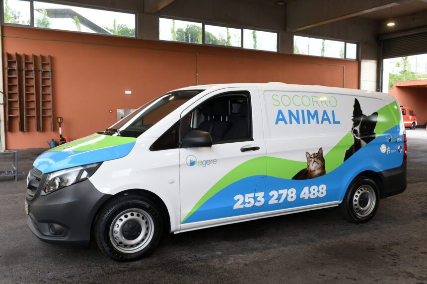 Braga: Bombeiros Sapadores registam 241 operações de busca e resgate de animais em 2023 CMB01062018SERGIOFREITAS00000012949