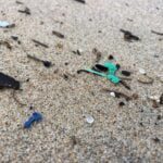 microplasticos esposende