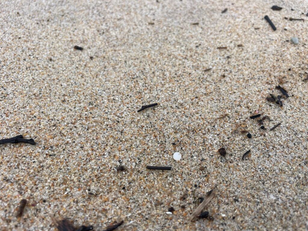 Esposende: Identificadas "bolinhas plástico" nas praias da Bonança e Apúlia no PNLN microplasticos