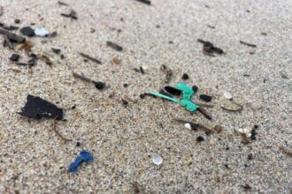 microplasticos esposende