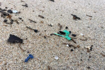 microplasticos esposende