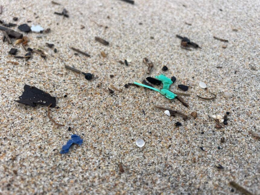 Esposende: Identificadas "bolinhas plástico" nas praias da Bonança e Apúlia no PNLN microplasticos esposende