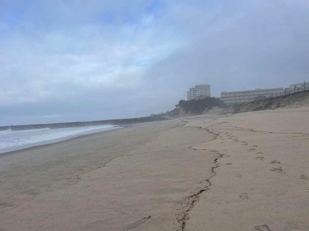 Esposende: Identificadas "bolinhas plástico" nas praias da Bonança e Apúlia no PNLN WhatsApp Image 2024 01 23 at 14.02.14