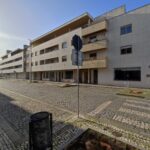 corte de árvores de esposende