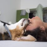 cinoterapia braga quinta pedagógica